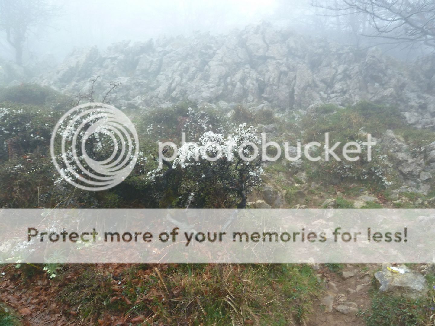 Photo Sharing and Video Hosting at Photobucket
