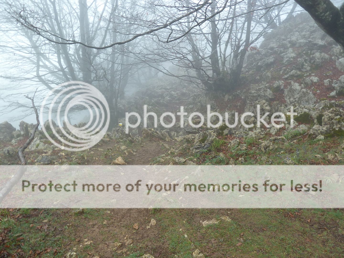 Photo Sharing and Video Hosting at Photobucket