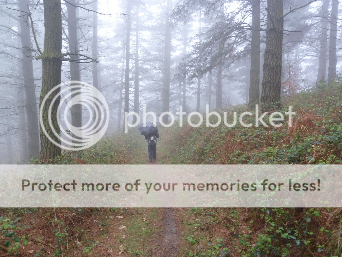 Photo Sharing and Video Hosting at Photobucket
