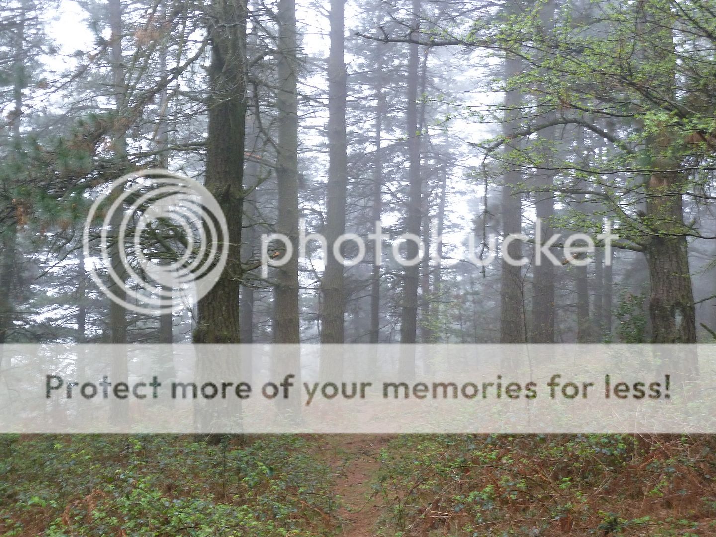 Photo Sharing and Video Hosting at Photobucket