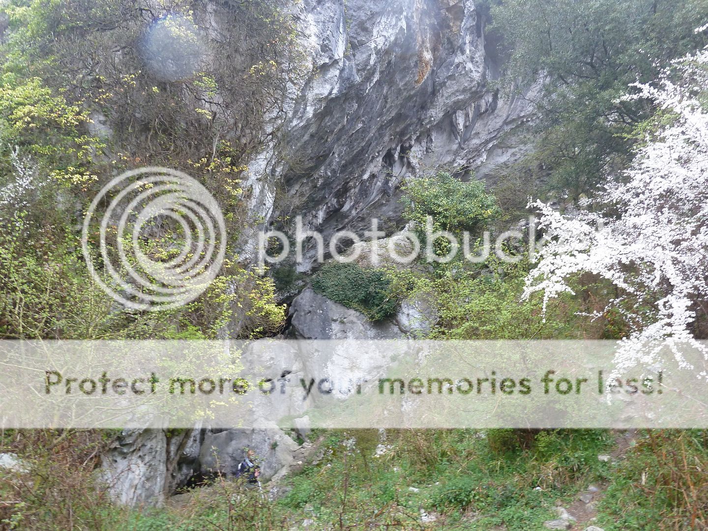 Photo Sharing and Video Hosting at Photobucket