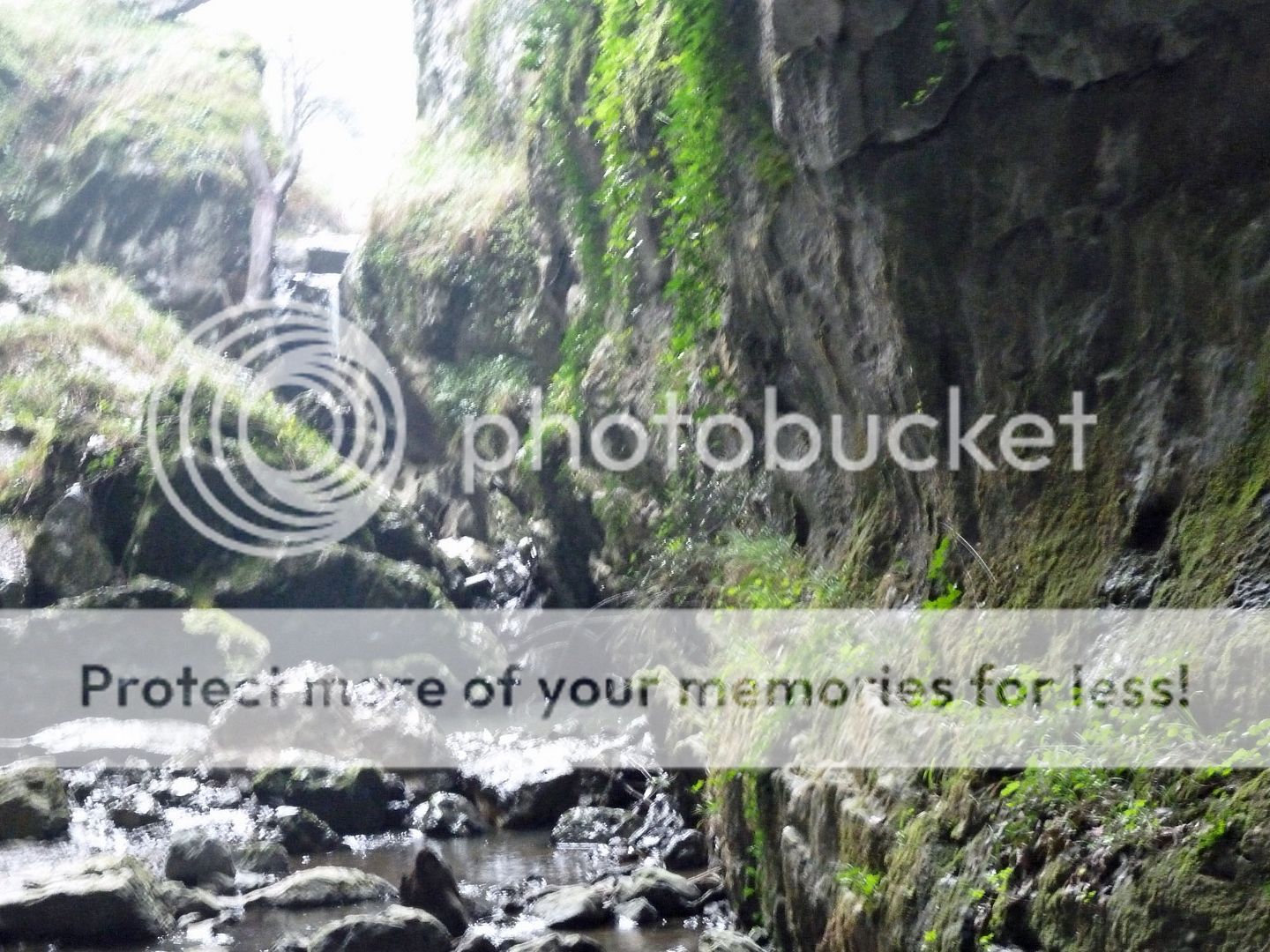 Photo Sharing and Video Hosting at Photobucket