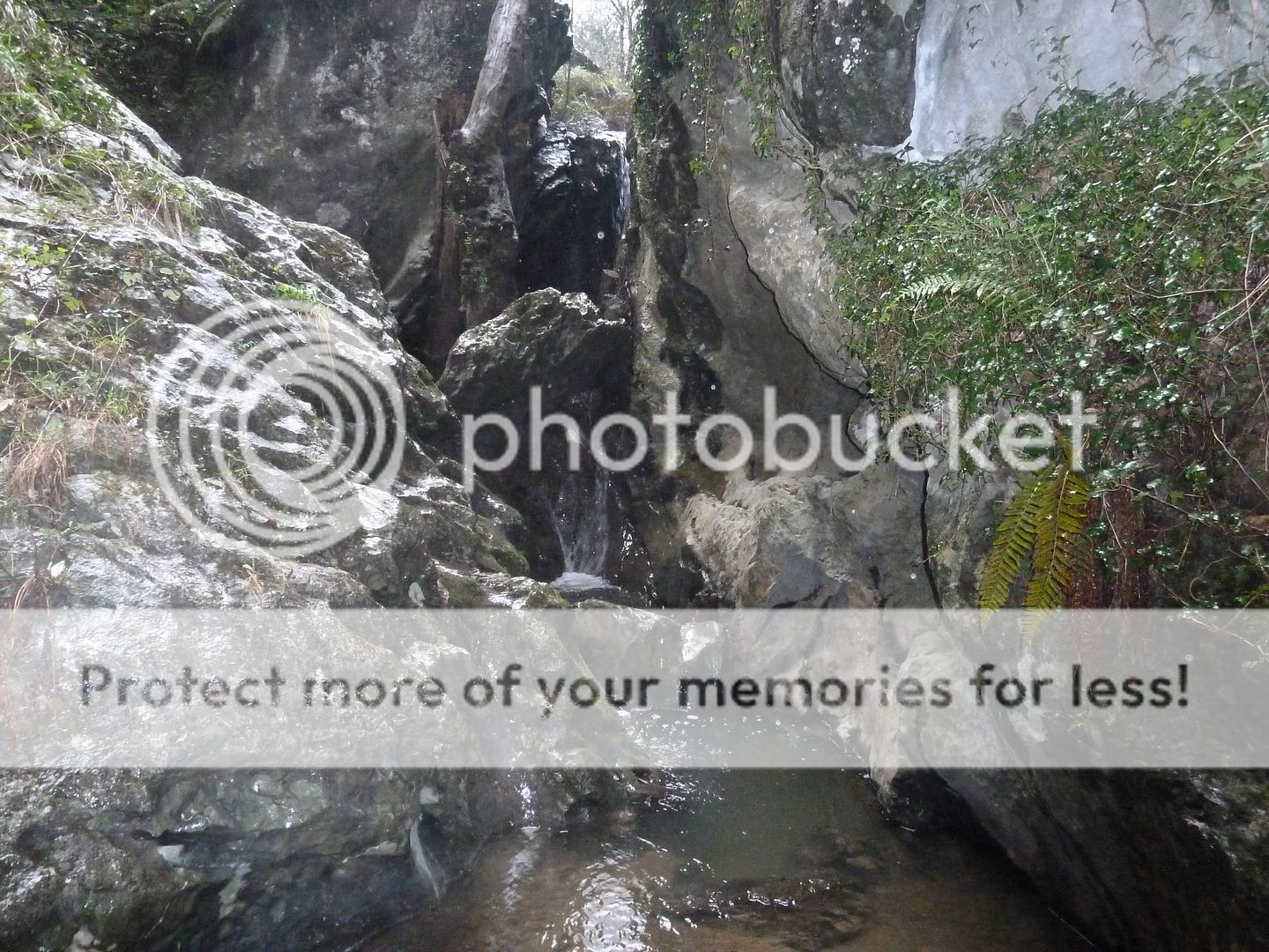 Photo Sharing and Video Hosting at Photobucket