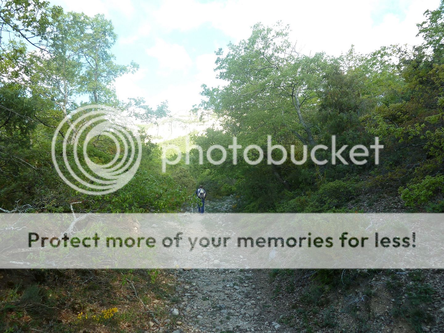Photo Sharing and Video Hosting at Photobucket