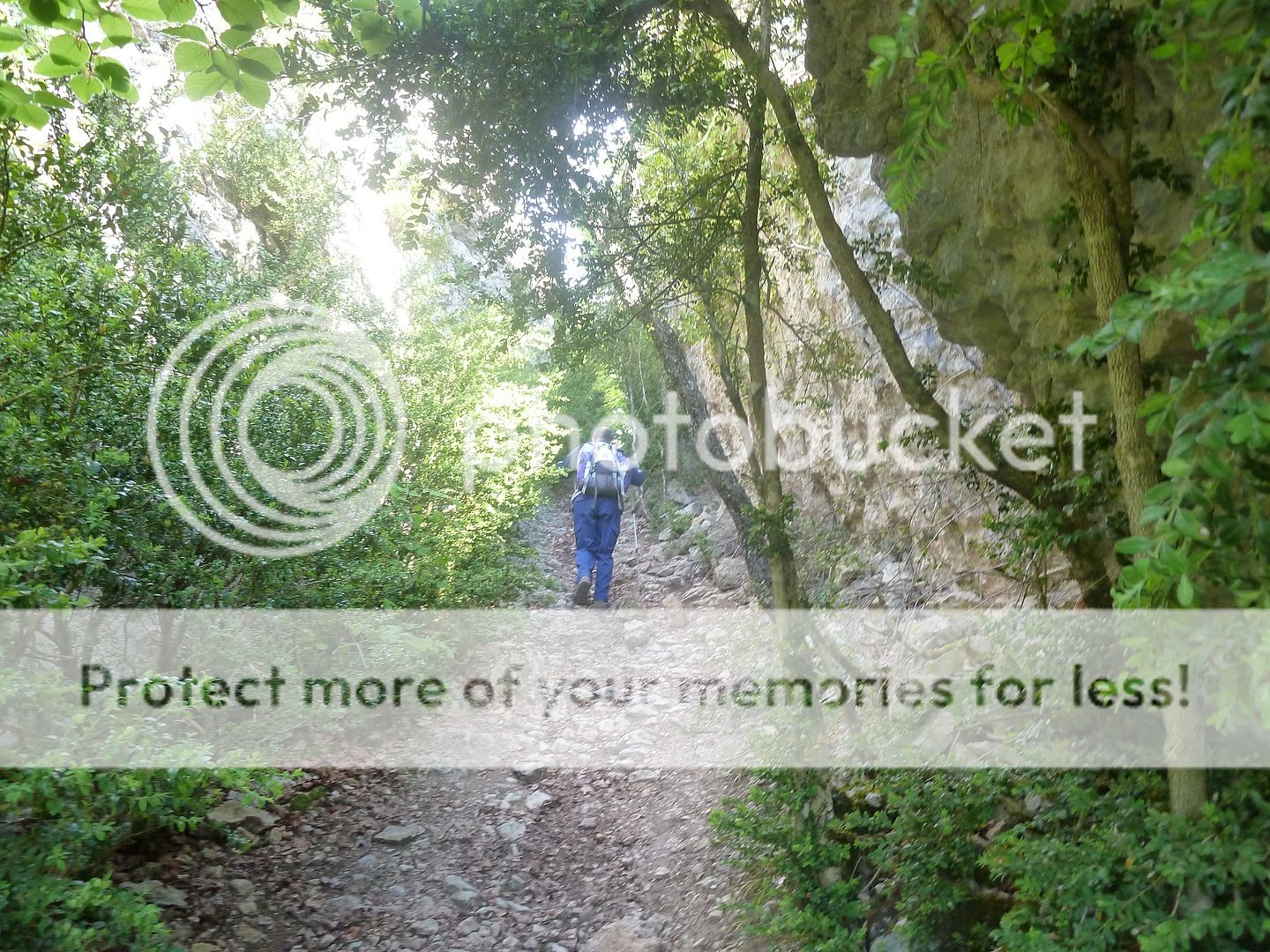 Photo Sharing and Video Hosting at Photobucket