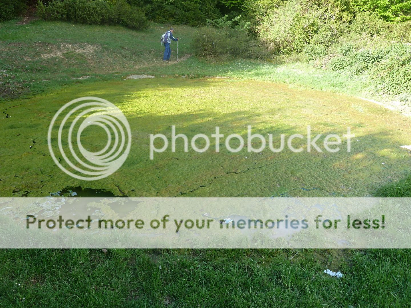 Photo Sharing and Video Hosting at Photobucket