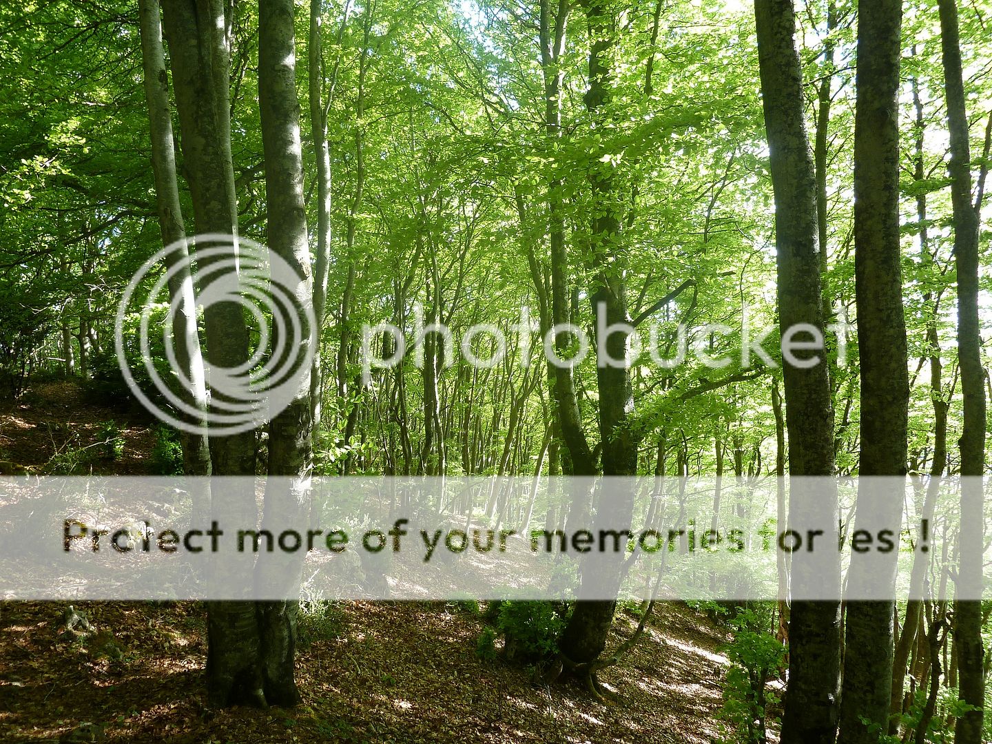 Photo Sharing and Video Hosting at Photobucket