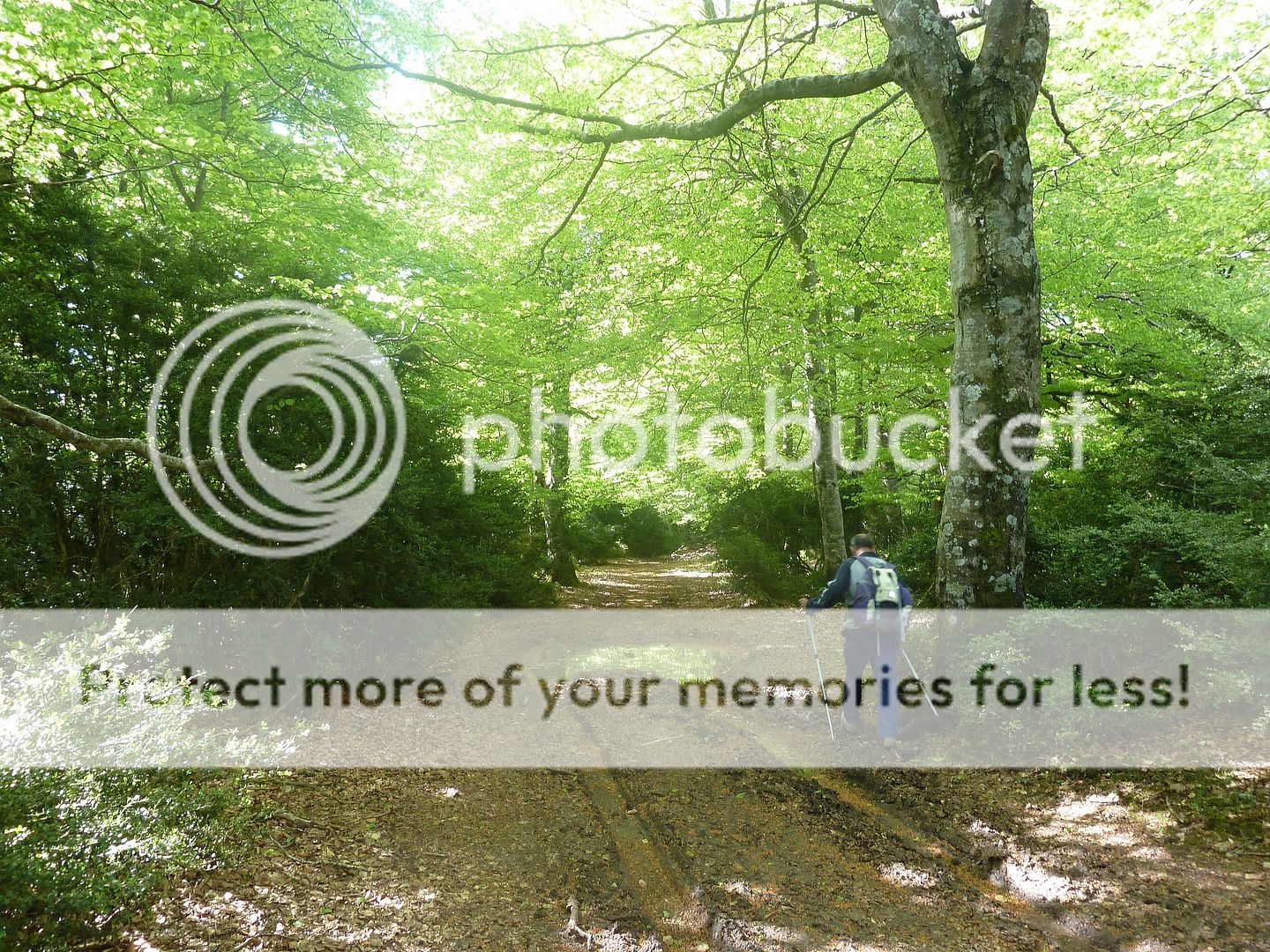 Photo Sharing and Video Hosting at Photobucket