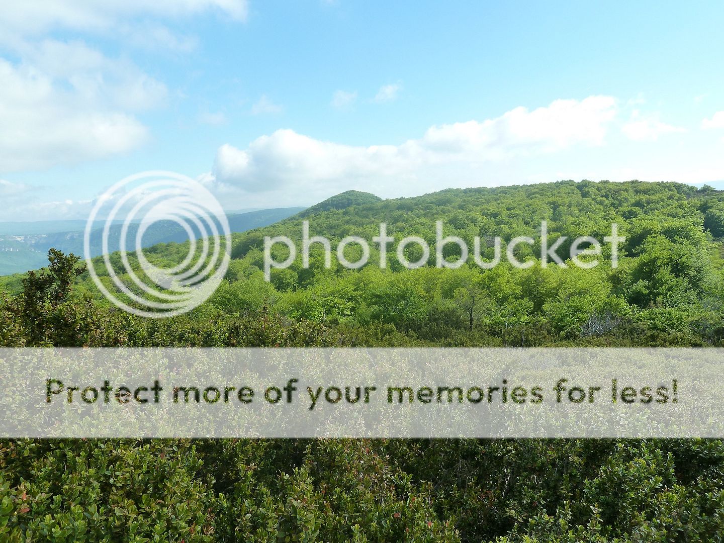 Photo Sharing and Video Hosting at Photobucket