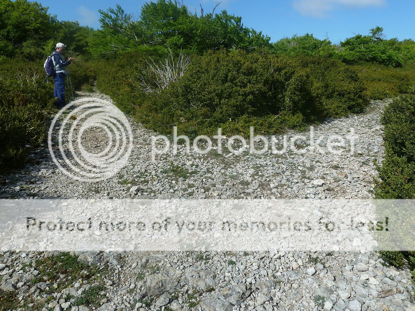 Photo Sharing and Video Hosting at Photobucket