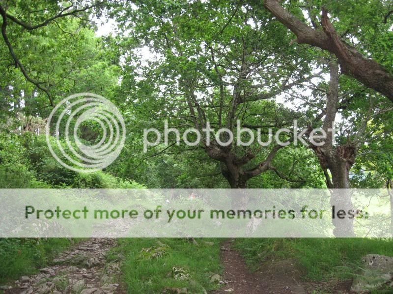 Photo Sharing and Video Hosting at Photobucket