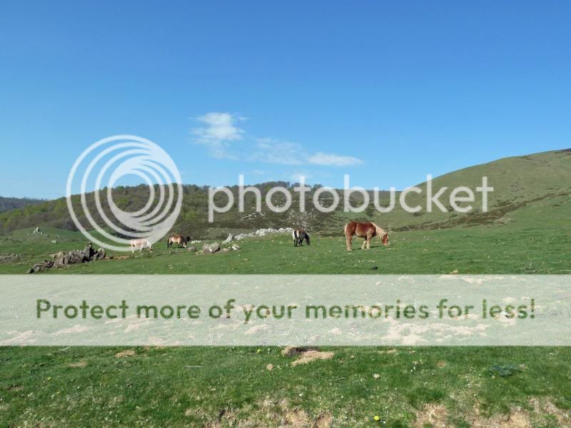 Photo Sharing and otobucVideo Hosting at Phket