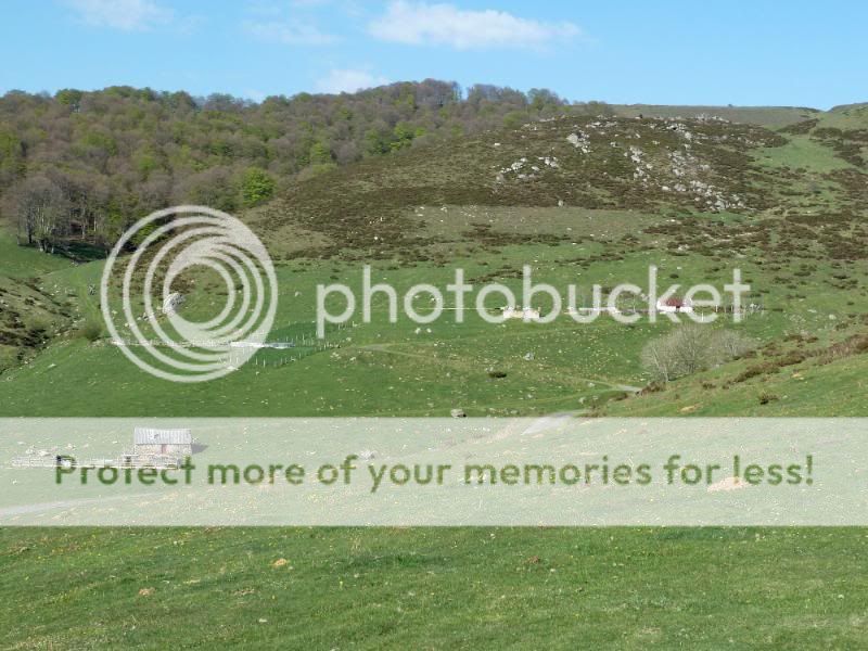 Photo Sharing and otobucVideo Hosting at Phket
