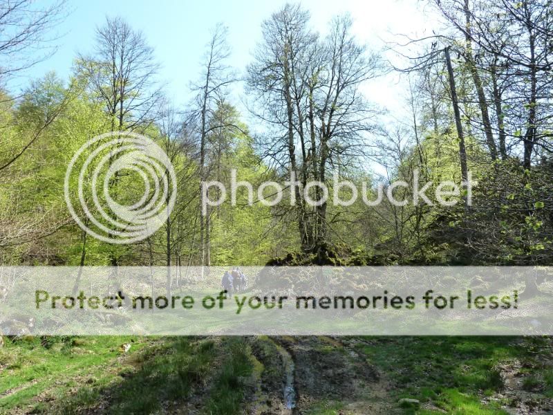 Photo Sharing and otobucVideo Hosting at Phket