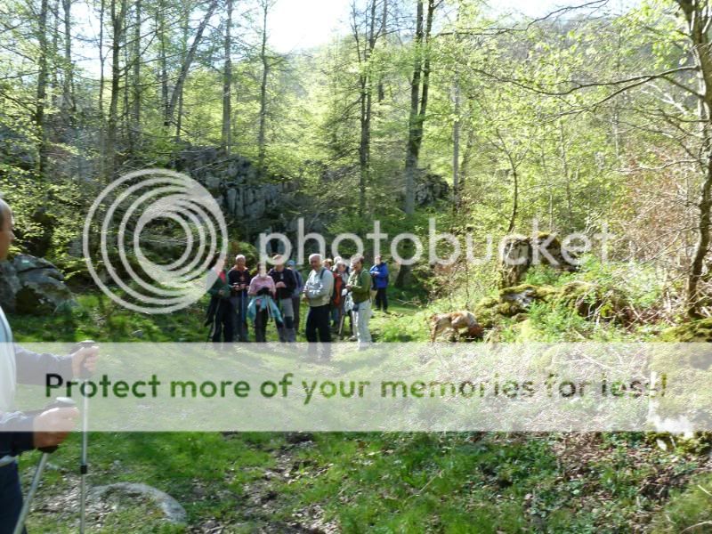 Photo Sharing and otobucVideo Hosting at Phket