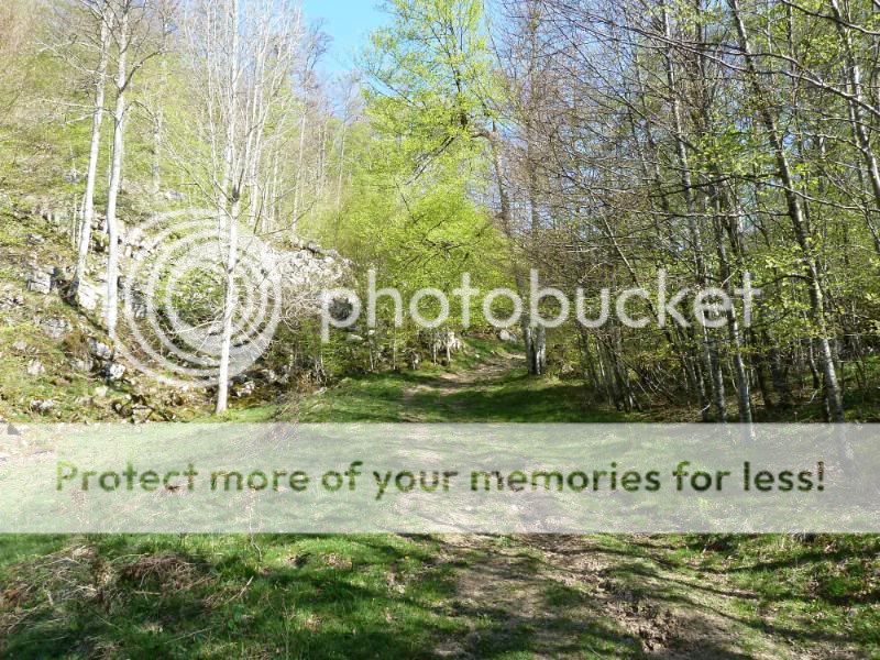 Photo Sharing and otobucVideo Hosting at Phket