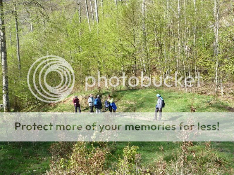 Photo Sharing and otobucVideo Hosting at Phket