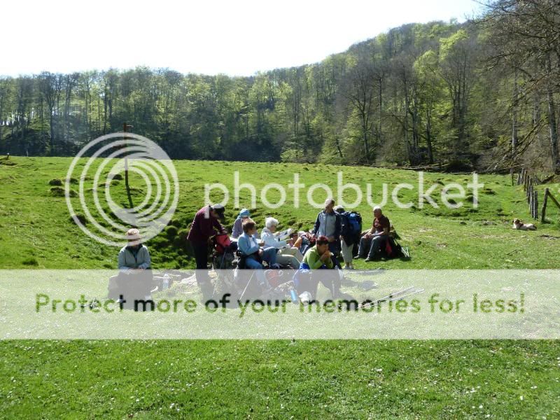 Photo Sharing and otobucVideo Hosting at Phket