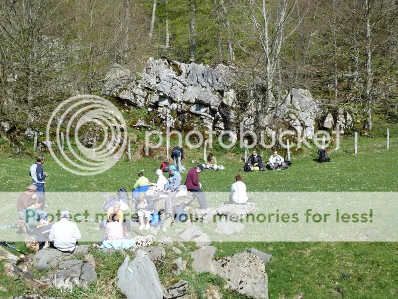 Photo Sharing and otobucVideo Hosting at Phket