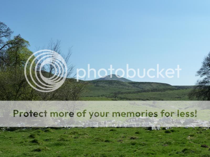 Photo Sharing and otobucVideo Hosting at Phket