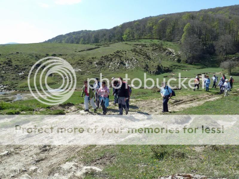 Photo Sharing and otobucVideo Hosting at Phket