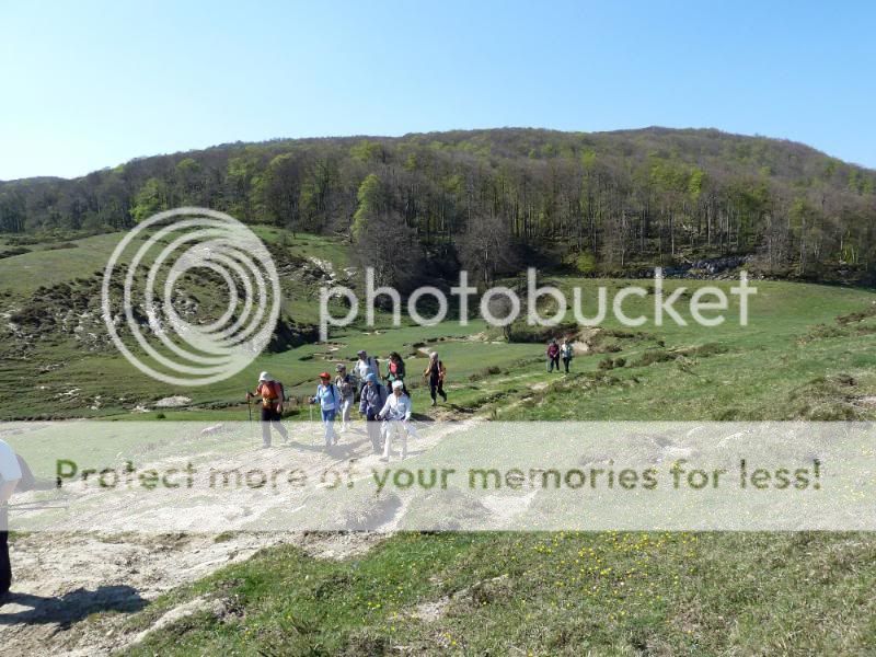 Photo Sharing and otobucVideo Hosting at Phket