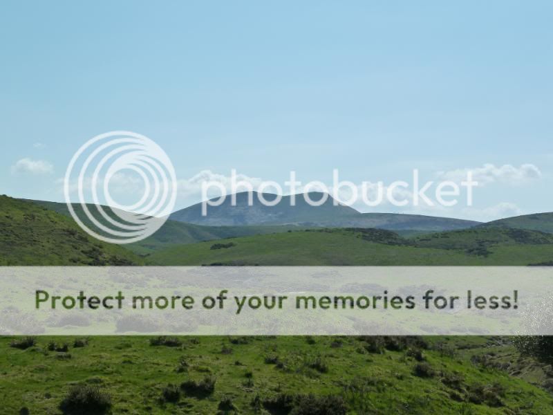 Photo Sharing and otobucVideo Hosting at Phket
