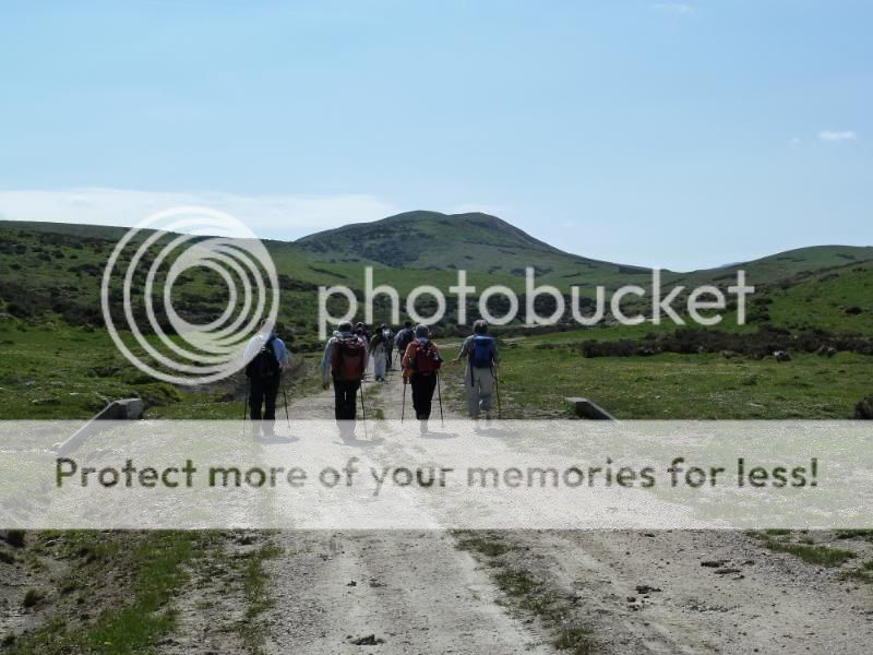Photo Sharing and otobucVideo Hosting at Phket