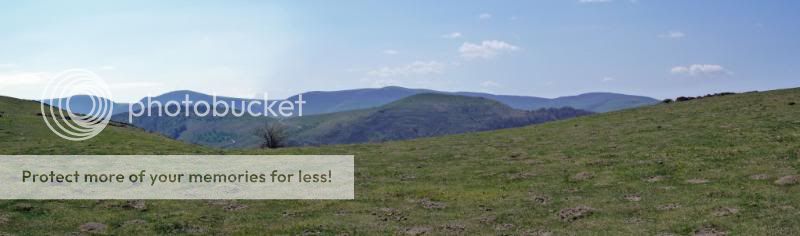 Photo Sharing and otobucVideo Hosting at Phket
