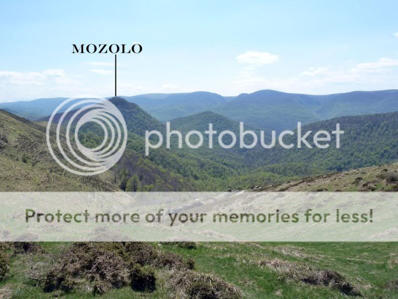 Photo Sharing and otobucVideo Hosting at Phket