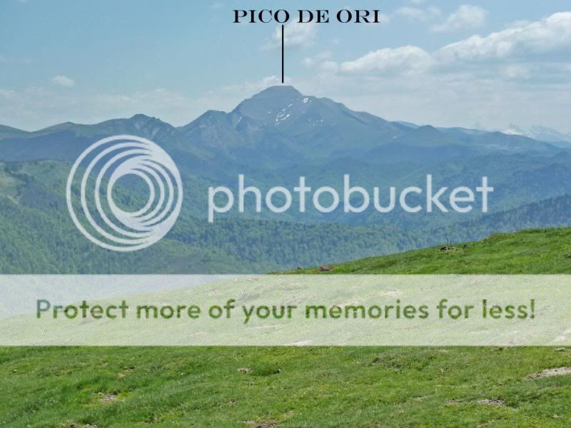 Photo Sharing and otobucVideo Hosting at Phket