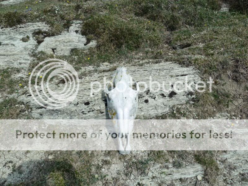 Photo Sharing and otobucVideo Hosting at Phket