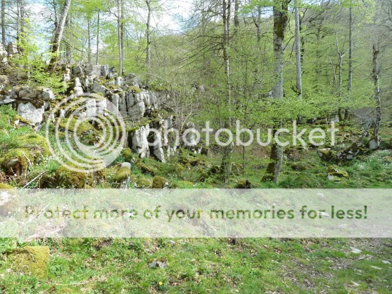 Photo Sharing and otobucVideo Hosting at Phket