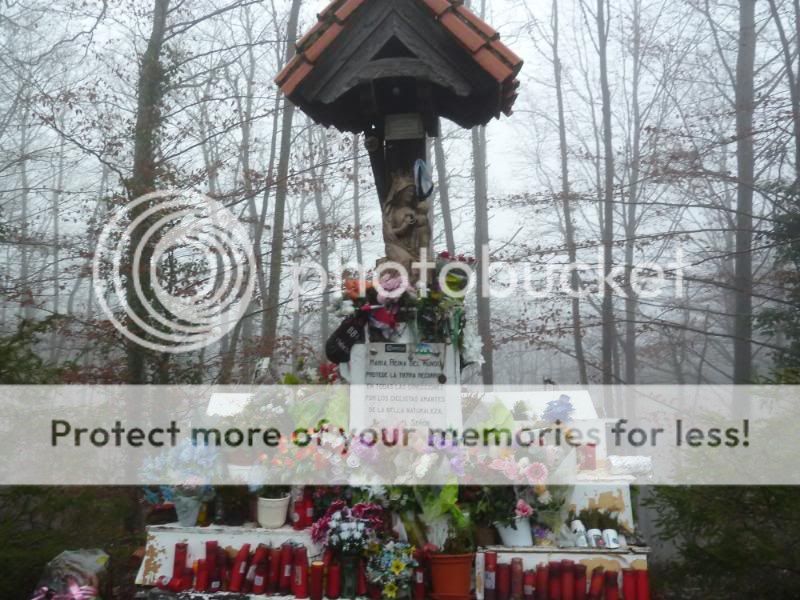 Photo Sharing and otobucVideo Hosting at Phket