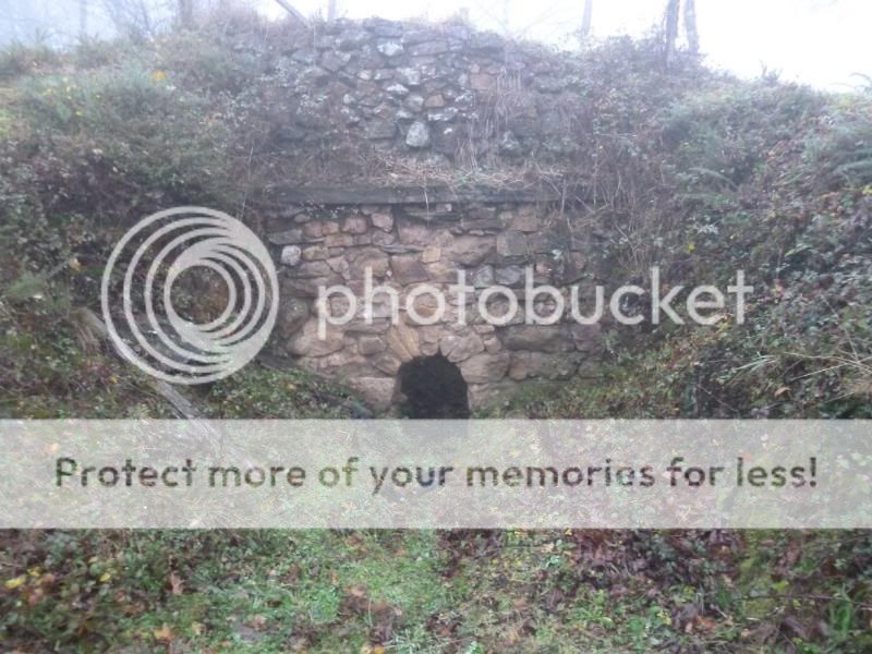 Photo Sharing and otobucVideo Hosting at Phket