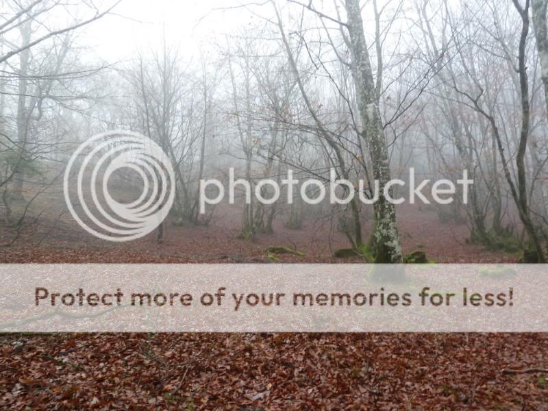 Photo Sharing and otobucVideo Hosting at Phket