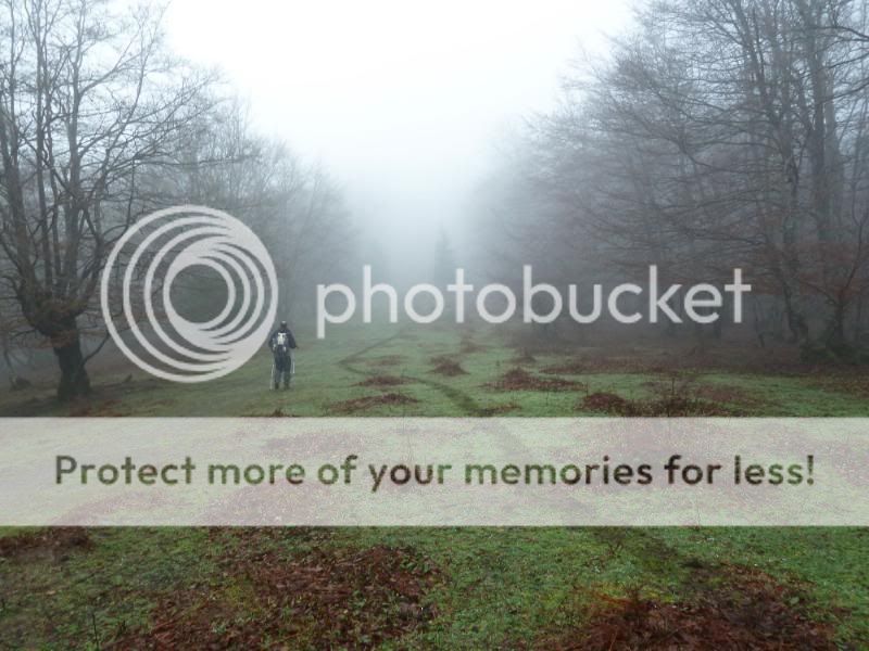 Photo Sharing and otobucVideo Hosting at Phket