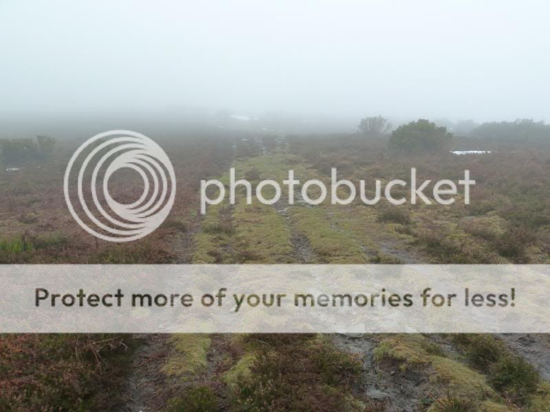 Photo Sharing and otobucVideo Hosting at Phket
