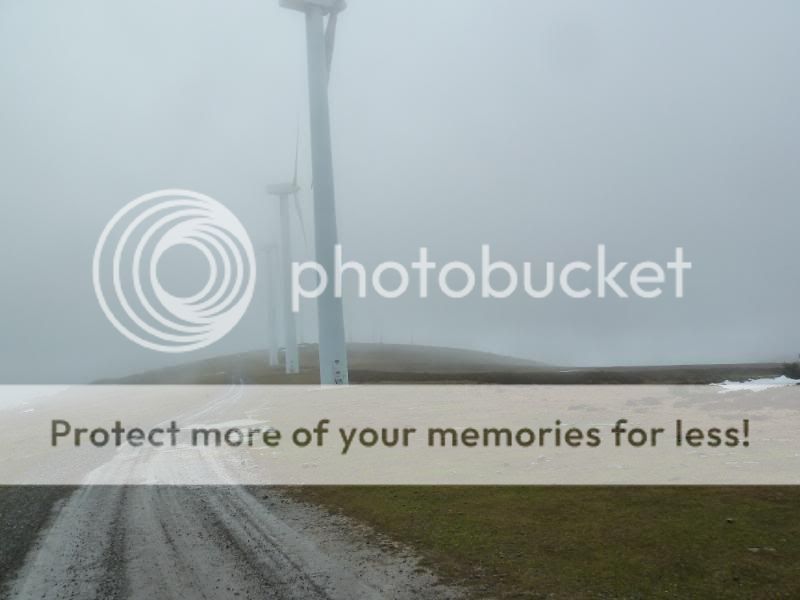 Photo Sharing and otobucVideo Hosting at Phket