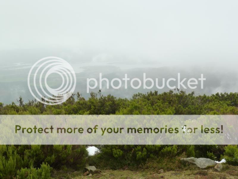 Photo Sharing and otobucVideo Hosting at Phket