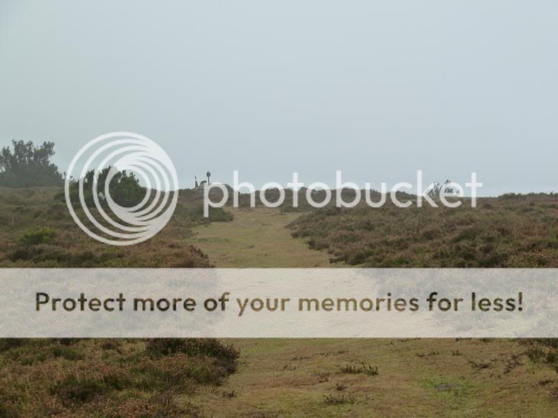 Photo Sharing and otobucVideo Hosting at Phket