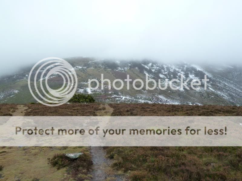 Photo Sharing and otobucVideo Hosting at Phket