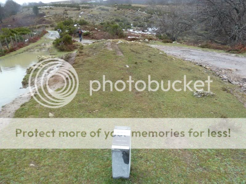 Photo Sharing and otobucVideo Hosting at Phket