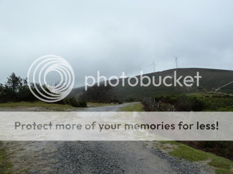 Photo Sharing and otobucVideo Hosting at Phket