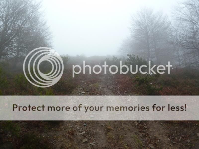 Photo Sharing and otobucVideo Hosting at Phket