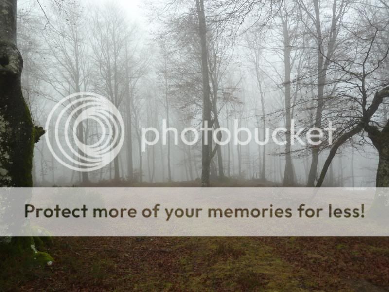 Photo Sharing and otobucVideo Hosting at Phket