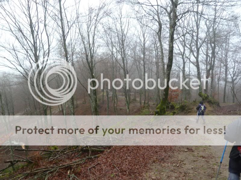 Photo Sharing and otobucVideo Hosting at Phket