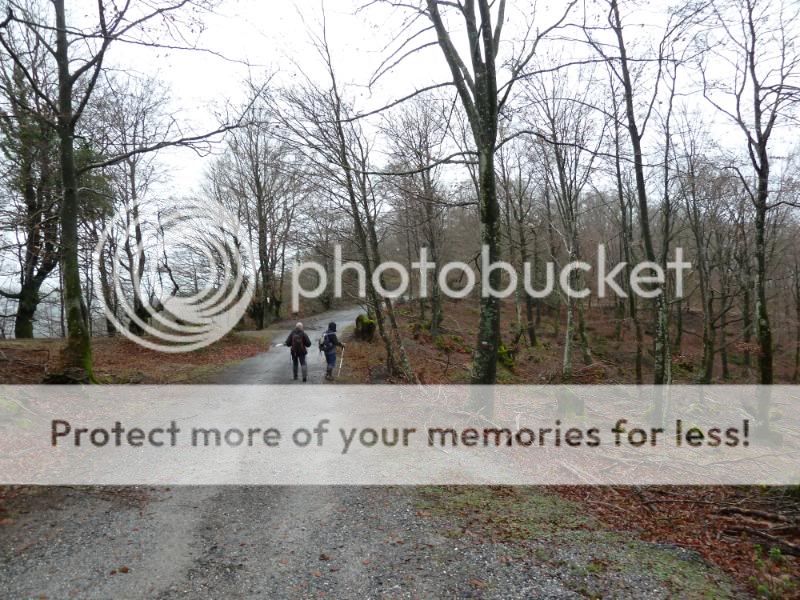 Photo Sharing and otobucVideo Hosting at Phket