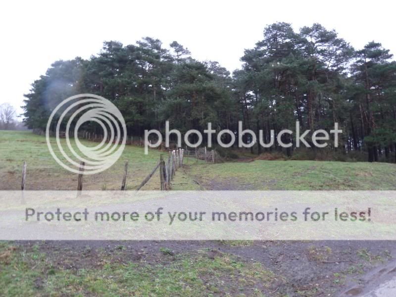 Photo Sharing and otobucVideo Hosting at Phket