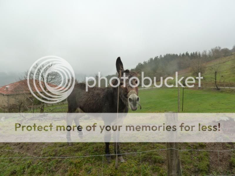 Photo Sharing and otobucVideo Hosting at Phket